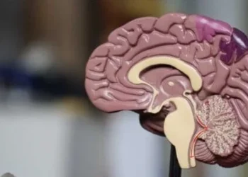 ما مذا إرتباط الصحة النفسية و الذاكرة، أعراض فقدان الذاكرة و كيف يمكن علاجها؟