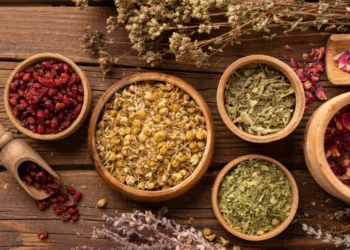 علاج نوبات الهلع بالاعشاب: طرق طبيعية فعالة للسيطرة على الذعر