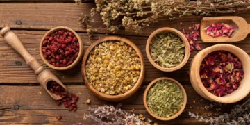 علاج نوبات الهلع بالاعشاب: طرق طبيعية فعالة للسيطرة على الذعر