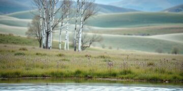 calming colours mental health